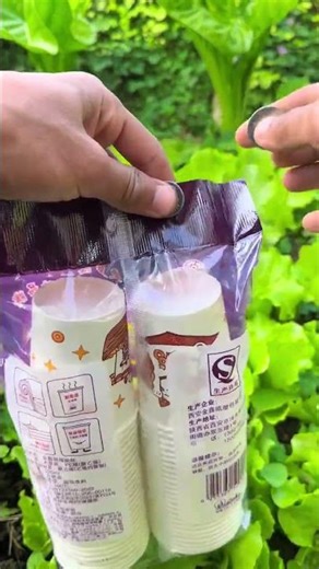 Unlock Your Bag of Coins Effortlessly