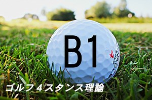 4stance-theory-b1type