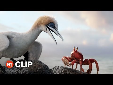 The Little Mermaid Movie Clip - You Listen to Me Bird (2023)
