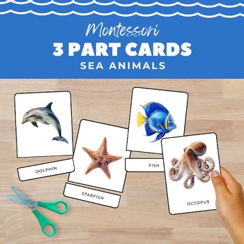 Sea Animals Montessori 3-Part Cards, Ocean Marine Wildlife Vocabulary Centers