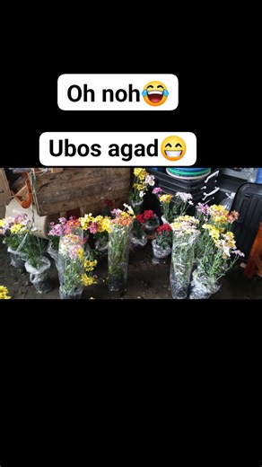 From 200 PC's Malaysian mumps now 15 pcs nlang Pick up nío napo 😁😁 #everyonehighlightsfollowers | Michelle Ordoñez Cuaresma