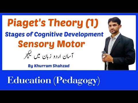 Piaget's Theory of Cognitive Development Stages || Sensorimotor stage in Urdu Part 1