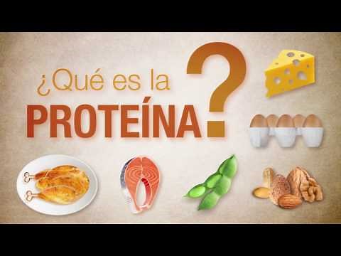 ¿Qué es la proteína?