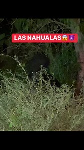 617K views · 4.6K reactions | #reelsvideo #reelsfb #reelsvideo #reelsviral #review #denver #quality #Carolina #paranormal #brujas #instagood #newyork #Culture #post #satanic #santeria #Guanajuato #Utah #CiudadDeMéxico #misticismo #usa #canada #losangeles #laugh #lasvegas #followtrain #foryou #reelsinstagram #reelsindia #reelsusa | Dactilar | Facebook