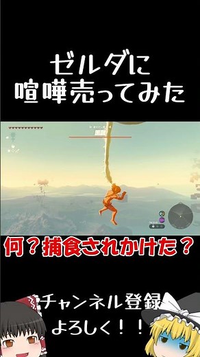 Zelda Strikes Back [The Legend of Zelda: Tears of the Kingdom] [Slow Commentary]