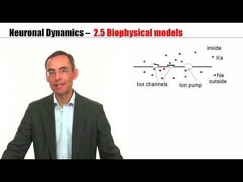 CNS2.5 - Detailed Biophysical Models