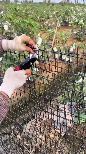 How to Install Agricultural Wire Fencing with Binder Clips – The Ultimate Guide