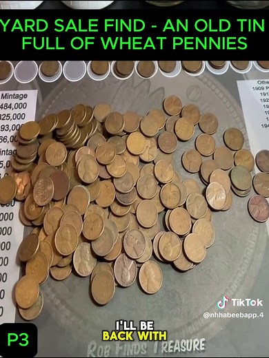 NgoNang Discovery on TikTok