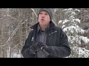 Ruger American® Pistol .45 Compact Features