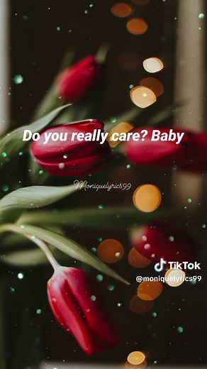 Slowly by Meddy: Latest 2024 Song Lyrics