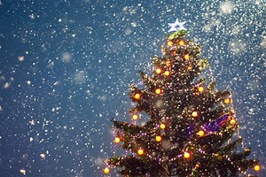 10 Dazzling Christmas Tree Lighting Ceremonies in Westchester