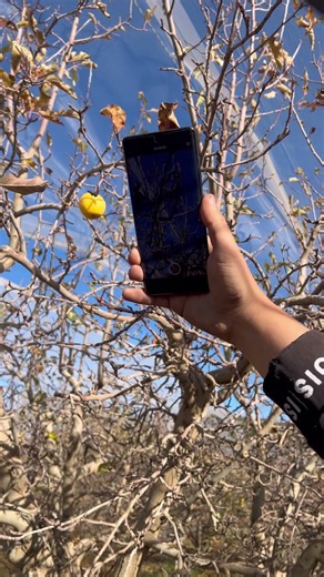 Vivo X100 Pro 1080P Vs 4K video recording #phonereview