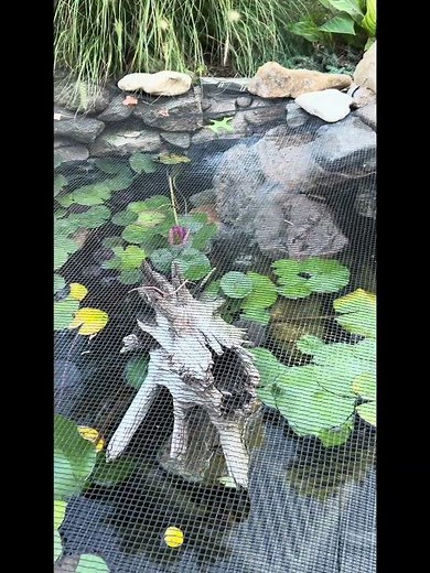 Danner Pondmaster 700 GPH Pump: Epic Review & Performance Showdown!