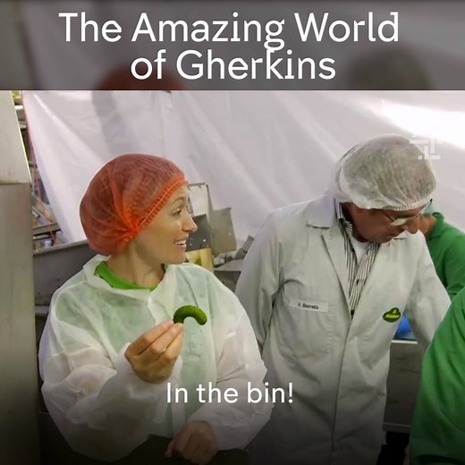 824K views · 201 reactions | Forget everything you thought you knew about gherkins. | Channel 4 | Facebook