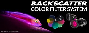 Backscatter Color Filter System—Expanding Your Creativity Underwater - Underwater Photography - Backscatter