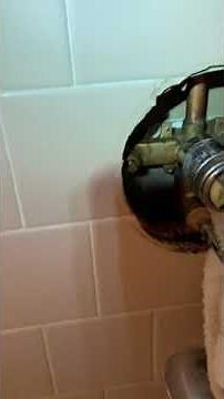 Pressure balance spool delta single handle tub & shower