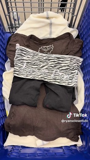 Thrifting at the Goodwill Bins: Best Finds and Tips