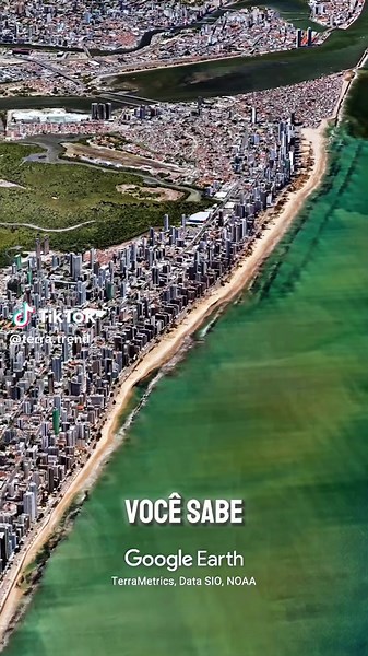 Tubarões na Praia de Boa Viagem: Perigos e Curiosidades