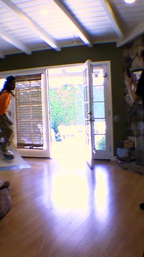 from the garden to the living room