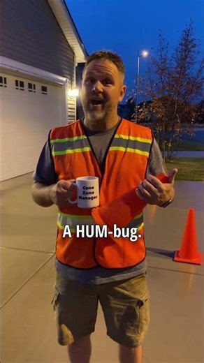 This Musical Insect Joke Though... 🎶 | Your Daily Dad Joke | Funny Video | Jokes #dadjokesoftheday