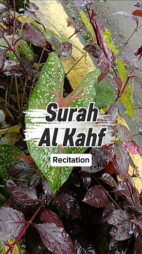 4.8K views · 243 reactions | Bacaan surah Al Kahfi ayat 60 yang sangat menenangkan #quran #Recitation | Quran Recitation | Facebook