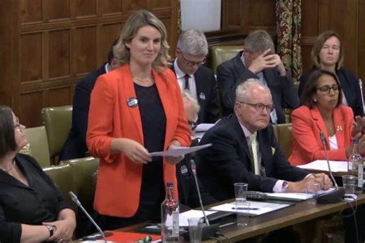 Political opinion: Jess Brown-Fuller uses petition debate to push for SEND reform in West Sussex
