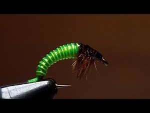 JC's Electric Caddis Larva