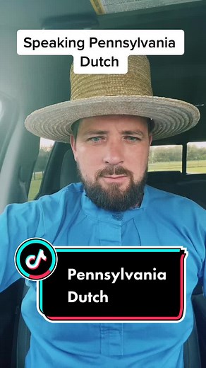 How are you guys doing today I work very hard today I’m a little tired I hope you can understand me I hope you guys have a good day 🙂#p#pennsylvaniadutcha#amishf#funny