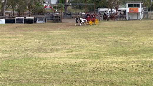 Dungog Showground 22.11.25 Christmas Extravaganza to Remember! This year’s Christmas celebration was nothing short of unforgettable! It started with a beautiful horse-drawn carriage, hooves clip-clopping as Santa himself rode in style to greet the crowd. But just when everyone thought it was a picture-perfect Christmas moment… the unexpected happened! Out of nowhere, a band of cheeky bush rangers stormed in and “kidnapped” Santa right from the carriage! The crowd gasped, the kids squealed, and t