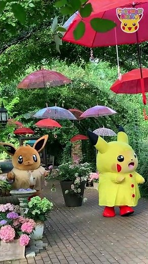 Pokémon Shorts - A Walk After the Rain - | Pokémon Fun Video | Pokémon Kids TV​ #Shorts