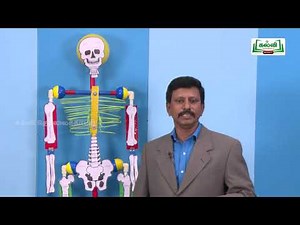 KALVI TV OFFICIAL | ஆய்வுக் கூடம் | STD 8 | SCIENCE | இயக்கம் | PART 02