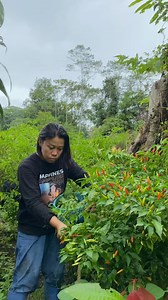 Nor Lela | Suka duka jadi konten creator #bekasluka #Ruam #penghilangbekasluka #creambekasluka #creamGatal #CreamItitasi #pertolonganPertama... | Instagram