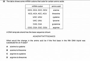 The table shows some mRNA codons that code for certain amino ac... | Filo