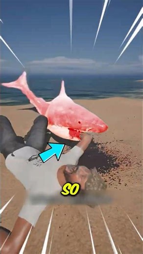 If You Ever Try to Help a Stranded Shark, Don't Do This