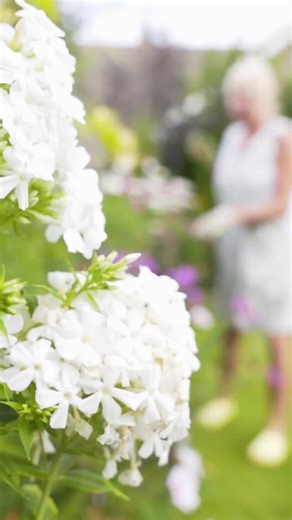 We asked Linda, a user of Advance 7, how things have changed for her since using our all natural gel. | Advance7