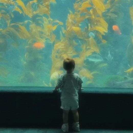 Dreamy Vintage Filter - Meant 2 Be Nuca Cover