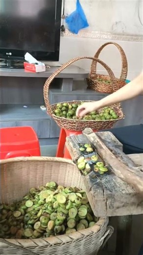 #fruit #plants #plantslover #shorts #viral #agriculture #farming #skills