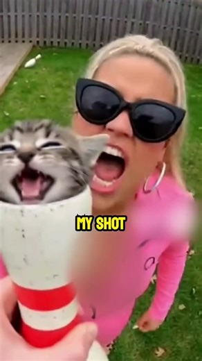 This Influencer Used a Cat as a Bowling Pin🎳🐱#shorts | Cat Of TikTok