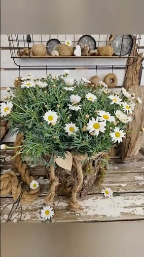 Gartendeko einfach gemacht🌸 #dekoideen#natürlichdekorieren #diyprojects#garten #gardening#diy#deko