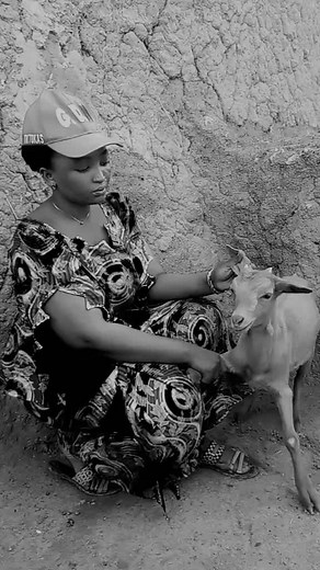 Playful Interactions Between Person and Goat