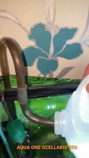 Reconnecting the Aqua One ocellaris 850 after water change #aquarium #tropicalfish #aquascape