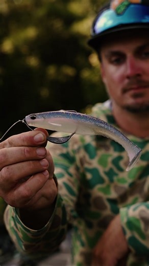 6th Sense Fishing on TikTok