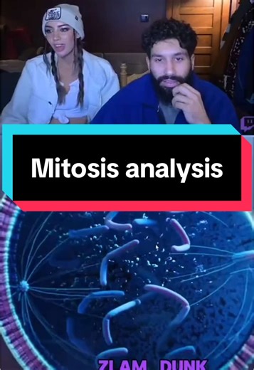 Mitosis Analysis by Retired Cell Division Coach
