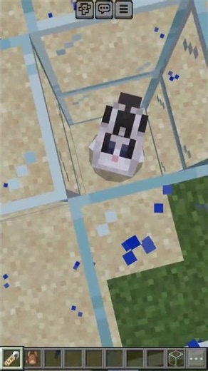 How to get the rarest type of bunny! #minecraft