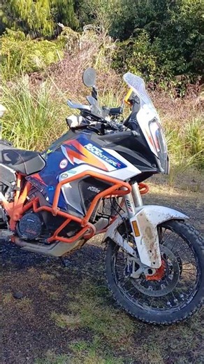 somewhere near Te Kuiti NZ
