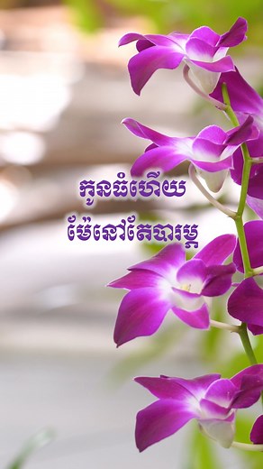 3M views · 52K reactions | កូនធំហើយ | Dara News Profile | Facebook