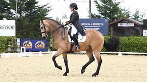 #SundaySchool: Alice Oppenheimer on how to teach your horse to piaffe - Horse & Hound
