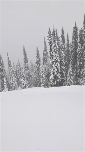 Westin getting those powder legs back under him. Snow is better than expected. #thatskidoofeeling | Dream Marine Inc