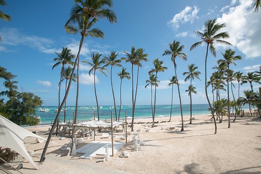 Restaurant | Jellyfish Restaurant