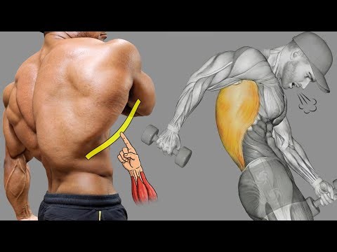 9 Best Exercises to Grow Lats Fastest